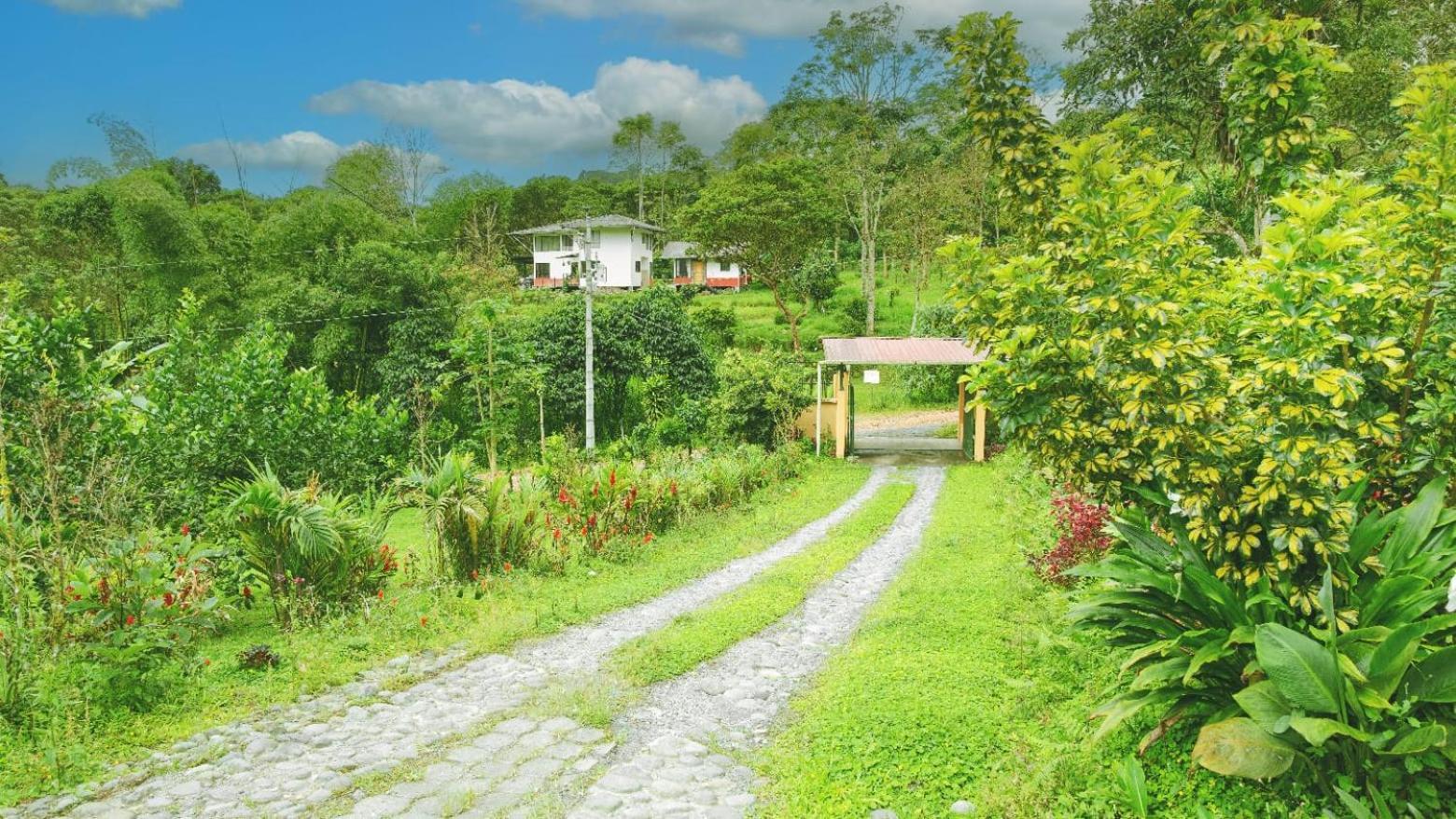 The Temple I, Mindo Exterior foto